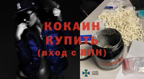 ПСИЛОЦИБИНОВЫЕ ГРИБЫ Бородино