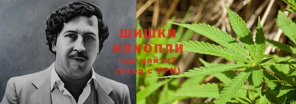 ПСИЛОЦИБИНОВЫЕ ГРИБЫ Бородино
