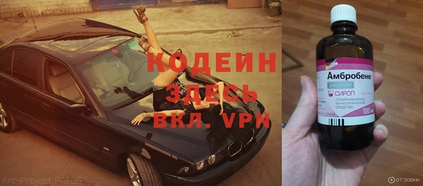 ПСИЛОЦИБИНОВЫЕ ГРИБЫ Бородино