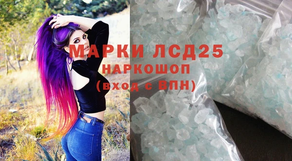 ПСИЛОЦИБИНОВЫЕ ГРИБЫ Бородино