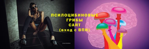 сатива Бугульма
