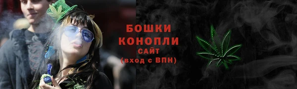 ПСИЛОЦИБИНОВЫЕ ГРИБЫ Бородино