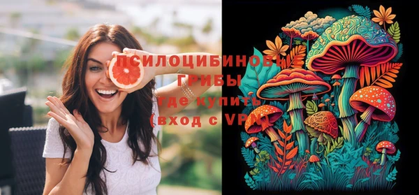 сатива Бугульма