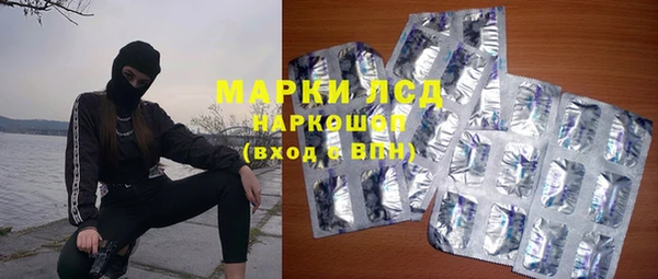 ПСИЛОЦИБИНОВЫЕ ГРИБЫ Бородино