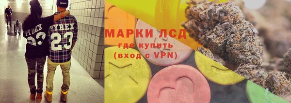 сатива Бугульма