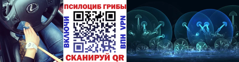 Псилоцибиновые грибы мицелий  Надым 